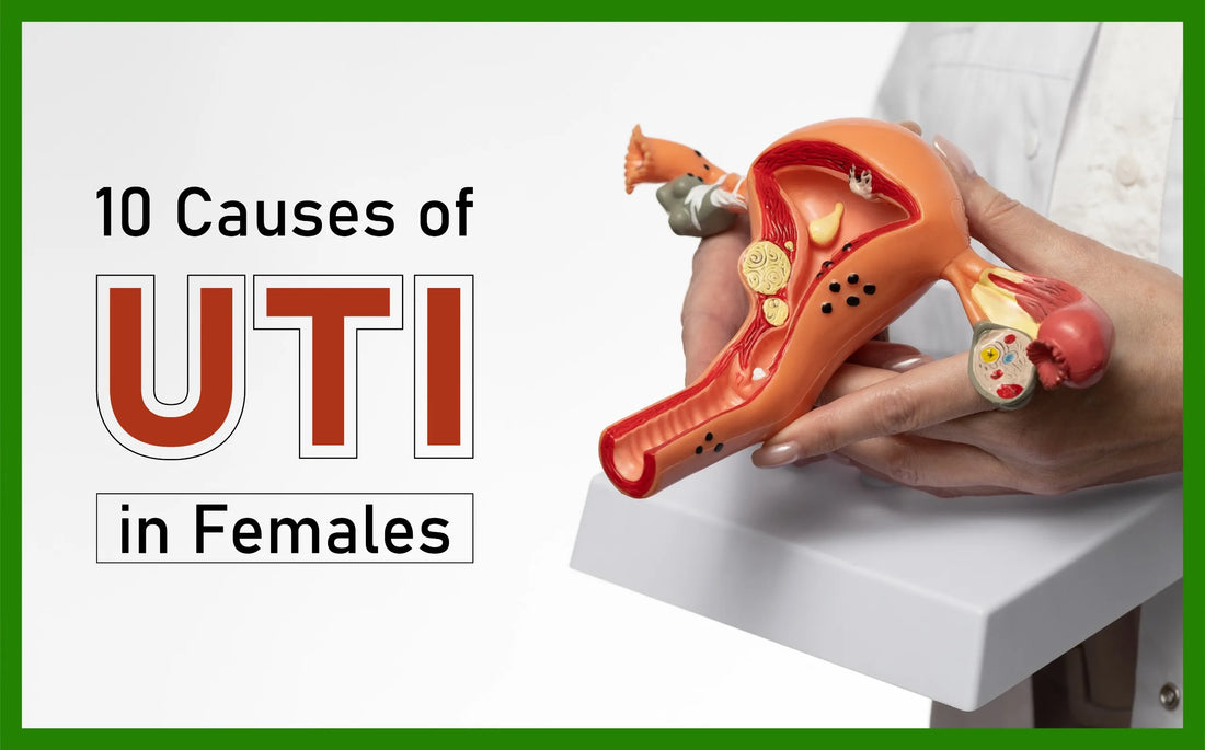 10 causes of uti in females, causes of uti in female, what causes a uti in a woman, what causes urine infection in females