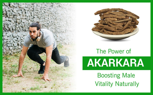 The Power of Akarkara: Boosting Male Vitality Naturally