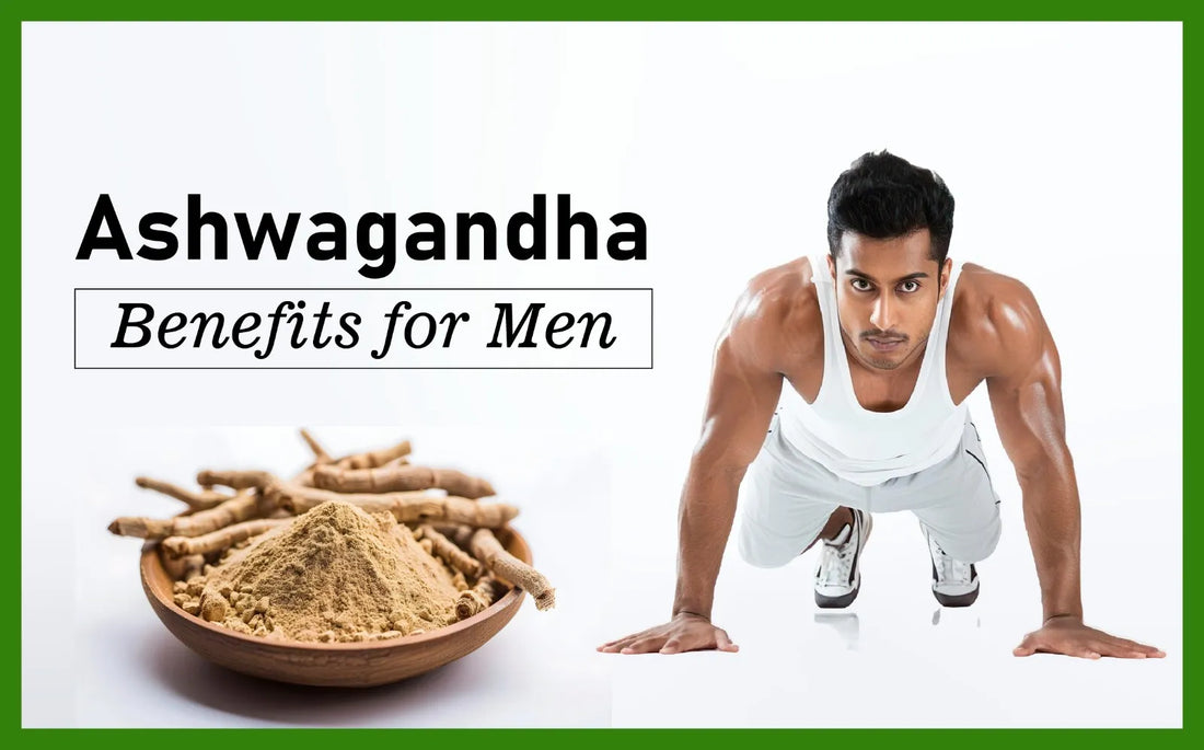 ashwagandha benefits for men, ashwaganda, ashwagandha dosage, ashwagandha for men