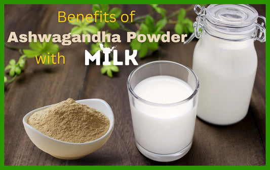 Benefits of Ashwagandha Powder with Milk, ashwagandha powder with milk benefits, ashwagandha powder benefits in kannada, ashwagandha powder