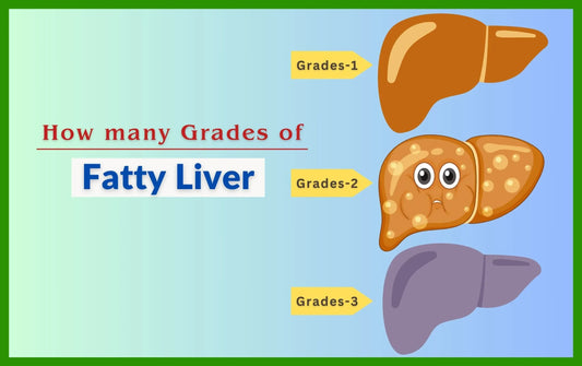 How many Grades of Fatty Liver