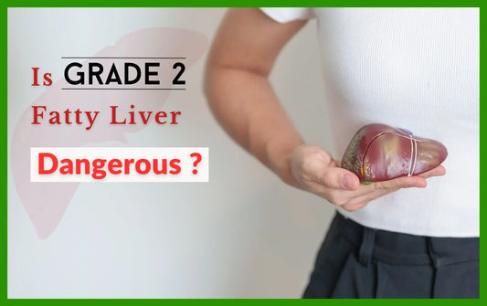 Is Grade 2 Fatty Liver Dangerous