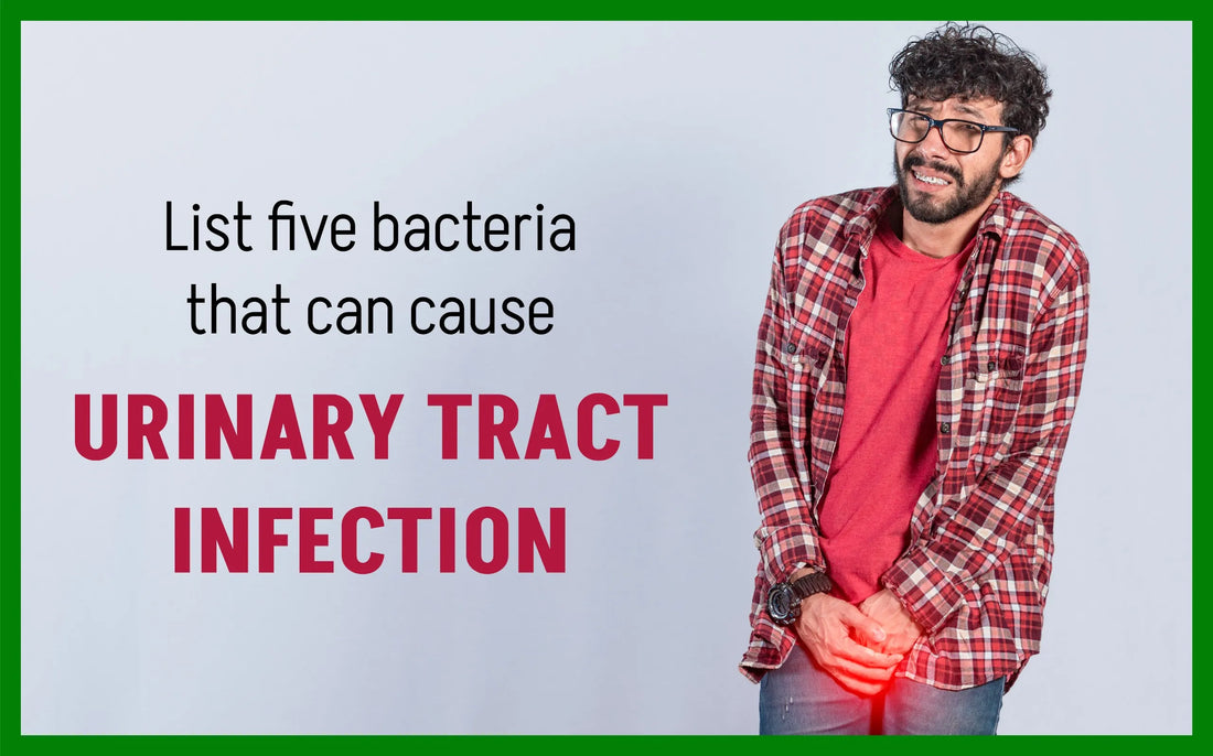 list five bacteria that can cause urinary tract infection, urine bacteria, uti bacteria, urinary tract infection, e coli in urine, escherichia coli in urine