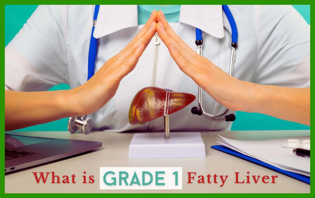 What is Grade 1 Fatty Liver